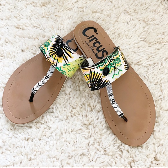 Circus by Sam Edelman Shoes - Circus Sam Edelman Saxon Tropical Print Thong Toe Sandal Size 8.5